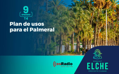 Plan de usos para el Palmeral