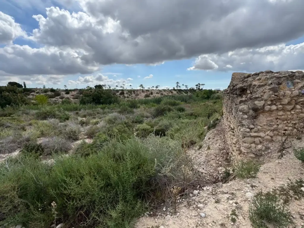 Entorno natural junto al cauce del Vinalopó